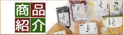 商品紹介